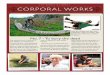 THE WORKS OF MERCY CORPORAL WORKS 2 2016 worksmercy.pdf · THE WORKS OF MERCY This corporal work of mercy is a little difﬁcult to understand in Canada. We have a well developed