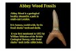 Fossils of Abbey Wood 300dpi - The TRG Webtrg.org/downloads/fossils of abbey wood.pdf · How this works Angel Shark Squatina prima Teeth & vertebrae Picture of real specimens imaged