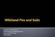 Wildland Fire and Soils - School of Forest Resources ...sfrc.ufl.edu/fire/Fire_Science_Lab/Fire_Ecology_and_Management... · Alan Long, Ph.D. (UF Emeritus) (Director) Joe Roise, Ph.D