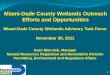 Miami-Dade County Wetlands Outreach Efforts and Opportunities .Miami-Dade County Wetlands Outreach