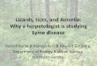 Lizards, ticks, and Borrelia - New Jersey Burke - Lizards... · Lizards, ticks, and Borrelia: Why a herpetologist is studying Lyme disease Russell Burke & Kaetlyn Kerr & Howard Ginsberg