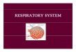 RESPIRATORY SYSTEMRESPIRATORY SYSTEMfaculties.sbu.ac.ir/~rajabi/ppt toPDF/Respiratory.pdf · Function of Respiratory SystemFunction of Respiratory System • Gets air into and out