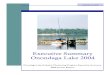 Executive Summary Onondaga Lake .Executive Summary Onondaga Lake 2004 ... This Executive Summary