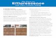 The Facts on Efflorescence - CertainTeed | Home · it’s important to gain an understanding of a naturally occurring condition called effl orescence which may ... to know efflorescence