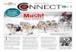 MARCH 2016 NNECT 1 2 3 - Utah Newspapers In …nieutah.com/uploads/2016MarchConnect.pdf · MARCH 2016 Mush! 2016 IDITAROD T his month, about 1,000 dogs will compete in the Iditarod,
