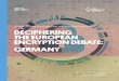 BHAIRAV ACHARYA, KEVIN BANKSTON, ROSS … · OPEN TECHNOLOY INSTITUTE Deciphering the European Encryption Debate: ... the European Encryption Debate: Germany 3 ... Federal Office