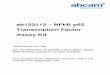 ab133112 NFkB p65 Transcription Factor Assay Kit … · ab133112 – NFkB p65 Transcription Factor Assay Kit ... PBS (10X) 0.038 M NaH 2PO 4, 0 ... (ABB) to be used for diluting the