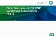 New Features of CA ESP Workload Automation r11 · New Features of CA ESP ... > Example: Report ... CA ESP Workload Automation Workstation Network Delivery Services (Master –Master)