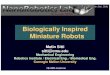 Biologically Inspired Miniature Robots - Electrical …jzhu/class/18200/F06/L08_Sitti_Bio... · Biologically Inspired Miniature Robots 18-200 Lecture ... Robotics Field ... Microsoft