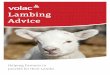 Lambing Advice - Volac Guide 2012.pdf · Pre-Lambing Preparation Ewe Condition Scoring Condition scoring is a management tool that costs little to implement but allows producers to