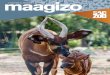 VOLUME 56, NUMBER 4 // WINTER 2017–18 - … · VOLUME 56, NUMBER 4 // WINTER 2017–18] THE SACRAMENTO ZOOLOGICAL SOCIETY IS ... 1974–76 Dr. George Kollias, Cornell University