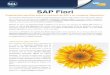 Experiencias sencillas sobre el software de SAP y en ...scl-consulting.com/wp-content/uploads/2016/08/folleto-sap-fiori.pdf · SAP Fiori Experiencias sencillas sobre el software de