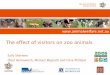 Zoo.pdf ·  The Animal Welfare Science Centre The effect of visitors on zoo animals Sally Sherwen (Paul Hemsworth, Michael Magrath and Clive Phillips)