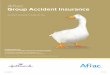 Aflac Group Accident Insurance · Inside AFLAC GROUP ACCIDENT INSURANCE Policy Series C70000 Just because an accident can change your health, doesn’t mean it should change your