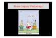 Knee Injury Pathology - Fisiokinesiterapia Injury.pdf · Pathology Intra Articular Pathology Pathology that occurs within the joint capsule Extra Articular Pathology Pathology that