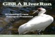 GBRA Rive rRun - Guadalupe-Blanco River Authority · GBRA Rive rRun Boerne H.S ... 10 Drought Grips Region ... Angel Castillo holds Class “B” wastewater license while Eric Mendez,