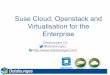 Suse Cloud, Openstack and Virtualisation for the … · Agenda • Introduction and Datalounges background • Todays market: shark eat shark • Openstack in the enterprise: ready