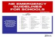 Emergency Guidelines for Schools - Alaska …dhss.alaska.gov/.../school/assets/EmergencyGuidelinesForSchools.pdf · Andrea Holka, Executive Director, Attack on Asthma Nebraska 