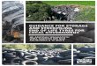 Guidance for storage and stockpiling end of life … · GUIDANCE FOR STORAGE AND STOCKPILING END OF LIFE TYRES FOR ... (under the Resource Management Act), ... Storage Processing
