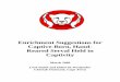 Enrichment Suggestions for Captive-Born, Hand- Enrichment    Enrichment Suggestions for
