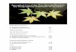 Synoptical List of the Tree Species found in the ... · 1-Synoptical List of the Tree Species found in the Geographical Arboretum of Tervuren West North America A. Maritime Climate