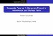 Corporate Finance 1: Corporate Financing Introduction …1).pdf · Introduction The Financial Structure Puzzle Debt and Equity Instruments Corporate Finance 1: Corporate Financing
