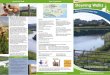 River and Countryside Walk - Steyning · River and Countryside Walk ... is suitable for exercising dogs, ... turn right up to a crossing path. Turn left up to a road. Cross into