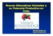 Nuevas Alternativas Varietales y su Potencial …chilealimentos.com/medios/Servicios/Seminarios/2010/Conferencia... · Variedades Tradicionales utilizadas en Chile Arandanos Southern