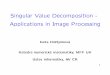 Singular Value Decomposition - Applications in Image ...tuma/Aplikace15/prezentace_Hnetynkova.pdf · Singular Value Decomposition - Applications in Image Processing ... Grayscale