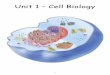 Unit 1 Cell Biology - The James Young High School · contains cell sap Part Name chloroplast cell membrane 2. The diagram below shows a model cell that ... The diagram below represents