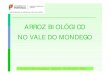 ARROZ BIOLÓGICO NO VALE DO MONDEGO - … · arroz biológico – Projecto iniciado há mais de 10 anos Arroz Biológico - Bico da Barca. II Encontro Agro-ecológico Coimbra 27/03/2015