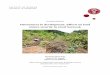 Dissonances in development: Effects on land tenure ...sluse.dk/courses/ilunrm/project/garcapallarsmartalourdes_76362... · ILUNRM REPORT Dissonances in development: Effects on land