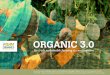 ORGANIC 3.0 – For truly sustainable farming & … · ORGANIC 3.0 for truly sustainable farming & consumption Discussion paper by Markus Arbenz, David Gould and Christopher Stopes,