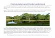 Florida Lakes and Ponds Guidebook - Pinellas County, Florida · Florida Lakes and Ponds Guidebook . Florida has thousands of lakes and ponds that provide opportunities for recreation