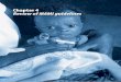 Chapter 4 Review of MAMI guidelines - ennonline.net · notes International guidelines: WHO Management of severe malnutrition: ... IMCI Integrated Management of Childhood Illness*