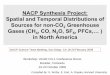 NACP Synthesis Project: Spatial and Temporal Distributions ... · Spatial and Temporal Distributions of ... Case Study- COBRA-NA 2003 ... NACP Synthesis Project: "Spatial and Temporal