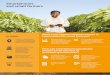 Smartphones and small farmers - Vodafone · Smartphones and small farmers Growth in agriculture is effective in reducing ... How can smartphones positively impact small farmers in