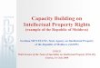 Capacity Building on Intellectual Property Rights - … · Capacity Building on Intellectual Property Rights ... (AITT) was created. AITT ... • National Program for the Implementation