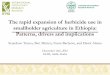 The rapid expansion of herbicide use in smallholder ...essp.ifpri.info/files/2016/12/Herbicide-use-v1.pdf · smallholder agriculture in Ethiopia: Patterns, drivers and implications