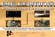 Process Control & Automation - diecastpress.comdiecastpress.com/images/DCE-Article.pdf · Die Cast Press Manufacturing Co., Inc.March 2008 1DIE CASTING ENGINEER/45 Process Control