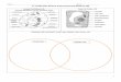7th Grade SOL Review Packet - Loudoun County … · 2016-11-27 · 7th Grade SOL Review Packet ... Archaebacteria Eubacteria Example Phylum of Animals (with an example) (Videos 14