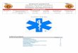 EMERGENCY MEDICAL SERVICES 4-0 PARAMEDIC … · EMERGENCY MEDICAL SERVICES 4-0 ... Obstetrics—Gynecology ... Protocols as a basis for paramedic patient care guidelines