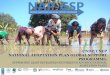UNDP/UNEP NATIONAL ADAPTATION PLAN GLOBAL SUPPORT PROGRAMME NAP... · NATIONAL ADAPTATION PLAN GLOBAL SUPPORT PROGRAMME: ... Climate Change Focal Point, Angola “The NAP-GSP can