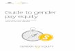 Guide to gender pay equity - Workplace Gender Equality … · Achieving gender equality, ... data analysis will need to refer to additional resources identified ... Guide to gender