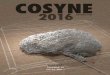 COSYNE 2016 Workshopscosyne.org/cosyne16/Cosyne2016_workshops_program.pdf · COSYNE 2016 Workshops Feb 29–Mar 01, 2016 ... learning, computation B DePasquale O Barak ... Golden
