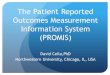 The Patient Reported Outcomes Measurement Information ... · The Patient Reported Outcomes Measurement Information System (PROMIS) David Cella,PhD Northwestern University, Chicago,