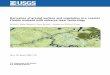 Derivation of ground surface and vegetation in a … · Derivation of ground surface and vegetation in a coastal Florida wetland with airborne laser technology By Ellen A. Raabe,