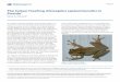 The Cuban Treefrog (Osteopilus septentrionalis) in …edis.ifas.ufl.edu/pdffiles/UW/UW25900.pdf · The Cuban Treefrog (Osteopilus septentrionalis) in ... The Cuban Treefrog (Osteopilus