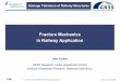 Fracture Mechanics in Railway Applicationpaginas.fe.up.pt/~csf/pt/documents/UweZerbst.pdf · U. Zerbst: Fracture Mechanics in Railway Application Porto, July 7-8, 2008 Fracture Mechanics