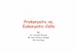 Prokaryotic vs. Eukaryotic Cellsinstruction2.mtsac.edu/crexach/microbiology 1/pdf micro lectures... · Prokaryotic vs. Eukaryotic Cells By ... • Three parts ... –Function •